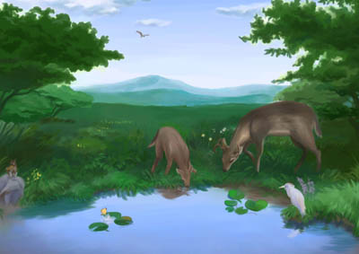 湧き出る泉